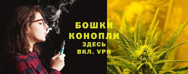 хмурый Бородино