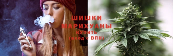 индика Бронницы