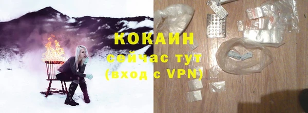 хмурый Бородино