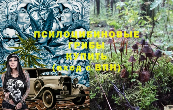 хмурый Бородино