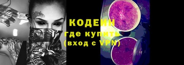 хмурый Бородино