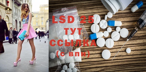 индика Бронницы