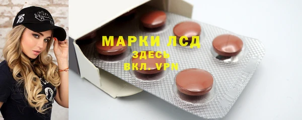 индика Бронницы
