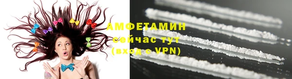 индика Бронницы