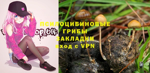 индика Бронницы