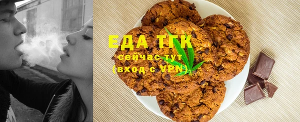 индика Бронницы