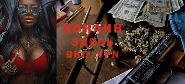 индика Бронницы
