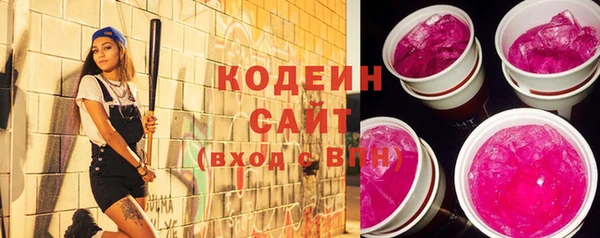 индика Бронницы