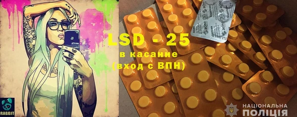 хмурый Бородино