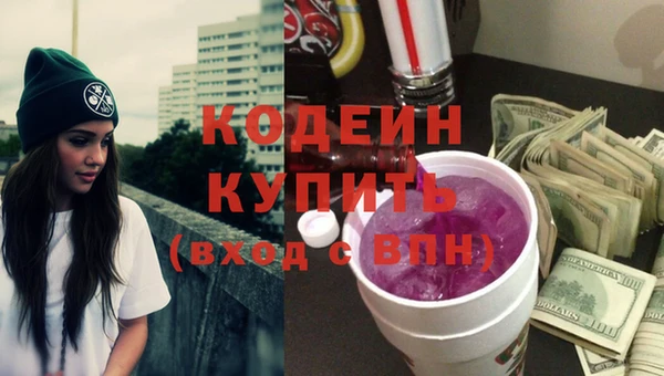 хмурый Бородино