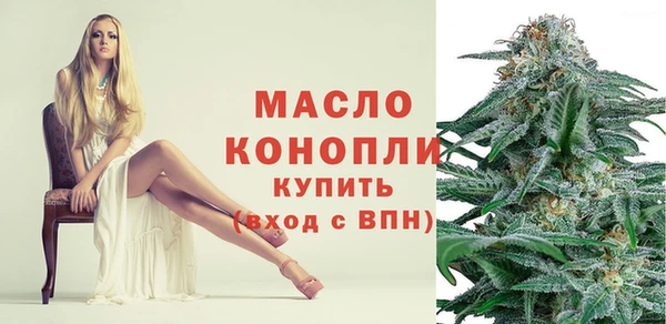 индика Бронницы