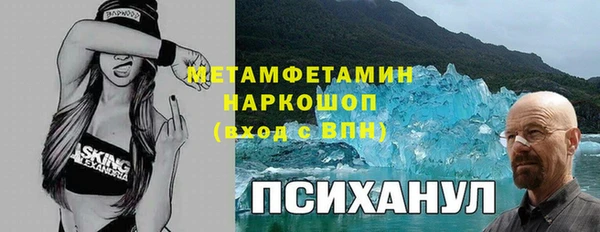 индика Бронницы
