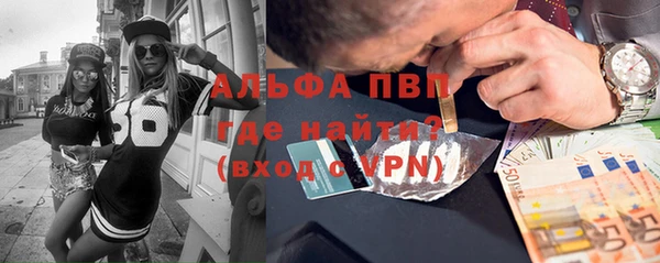 индика Бронницы