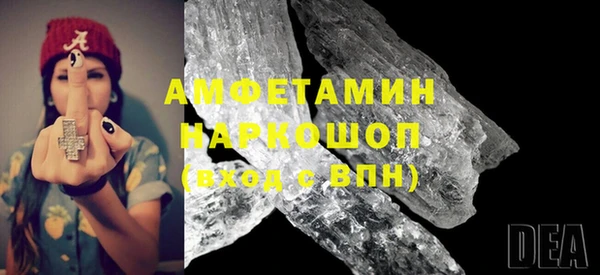 индика Бронницы
